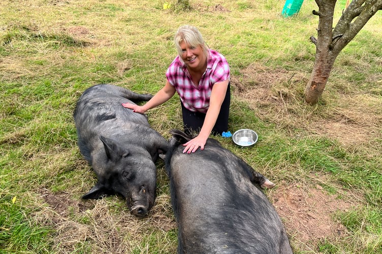 animal sanctuary