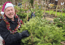 Dean's tree recycling returns for Christmas