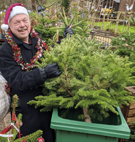 Councillor Andy Moore, Forest of Dean District Council’s Portfolio Holder for Waste and Recycling, promoting the return of kerbside Christmas tree collections for 2026.