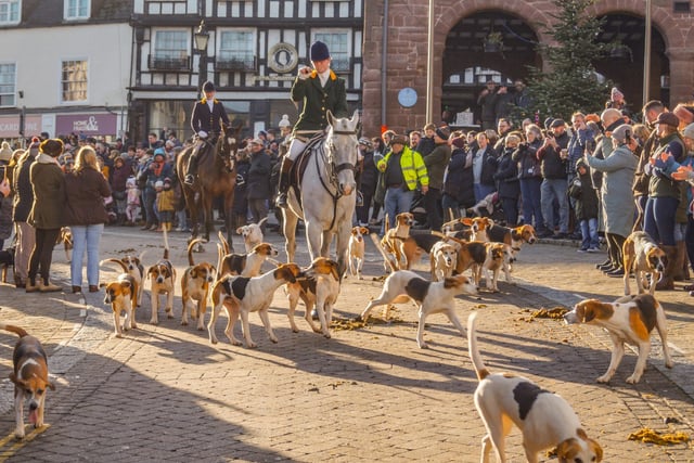 Harriers' Boxing Day Drag Hunt draws thousands of supporters