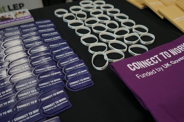 The Connect to Work programme aims to increase job opportunities for people with disabilities.