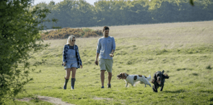 Top dog-friendly trails in the Forest of Dean