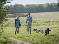 Top dog-friendly trails in the Forest of Dean