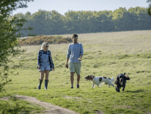 Top dog-friendly trails in the Forest of Dean