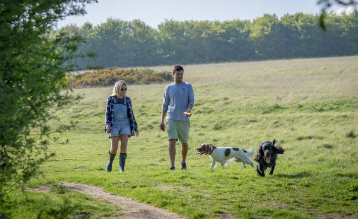 Dog owners are being encouraged to explore some of the Forest of Dean’s most popular woodland trails during Walk Your Dog Month.