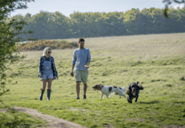 Discover the best dog-friendly forest trails