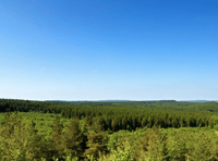 Forest of Dean's top viewpoints highlighted