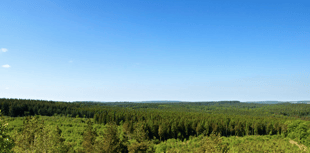 Forest of Dean's top viewpoints highlighted