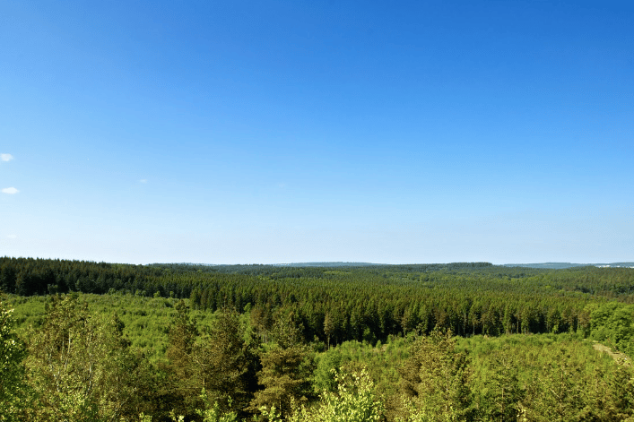 The panoramic view from New Fancy, a former coal mine site, looking out across the Forest of Dean and now a popular spot for walkers, cyclists and birdwatchers.