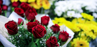 Tindle News launches 2026 Valentine’s multimedia packages
