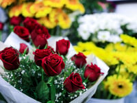 Money expert warns against experience gift vouchers