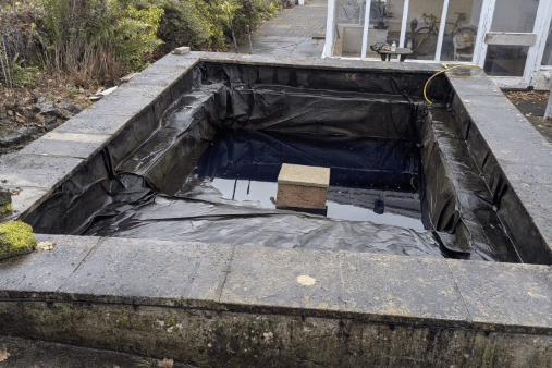 The same pond following restoration, reopening open water and improving conditions for wildlife.