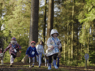Room on the Broom trail in Forest of Dean