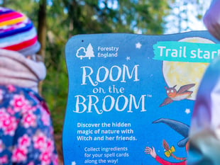 Family adventures await in the Forest of Dean