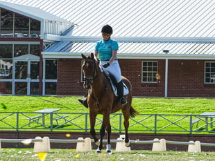 Hartpury expands dressage events for 2026
