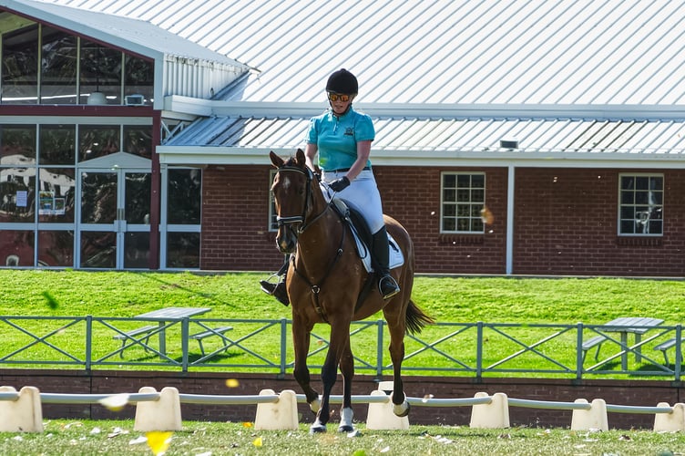 Dressage stock image