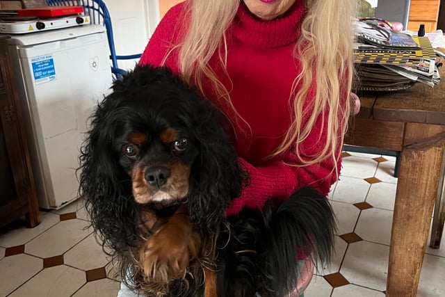 Dean woman pays £65 for lost dog