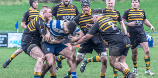Phoenix rise and stride to solid win in Stroud 