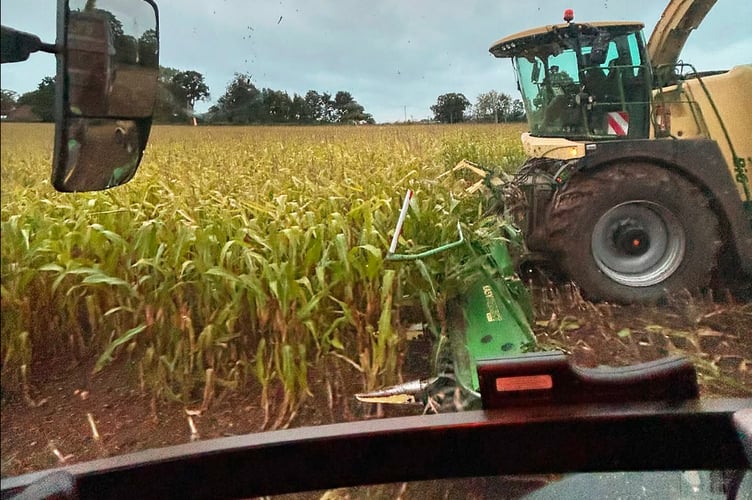 farming