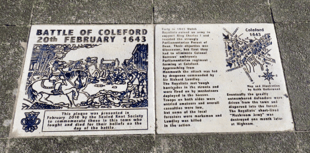 A Forest View with Dave Kent