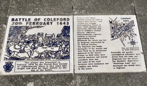 A Forest View with Dave Kent