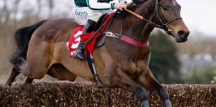 Chase second for L'Homme Presse