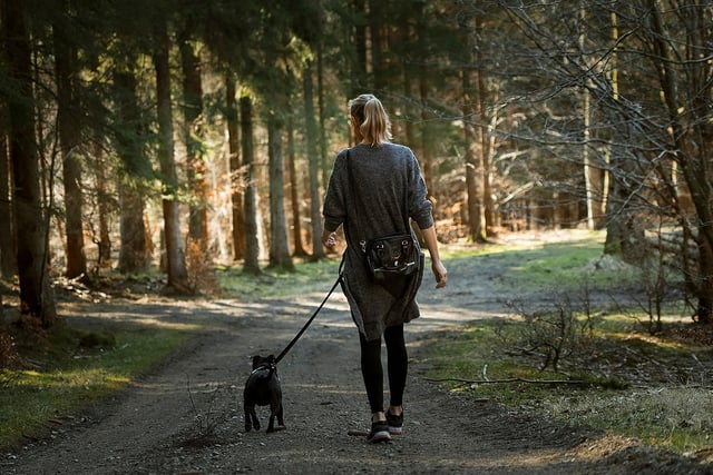 Dementia awareness walk at Beechenhurst, May 17