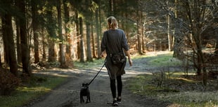 Dementia awareness walk at Beechenhurst, May 17