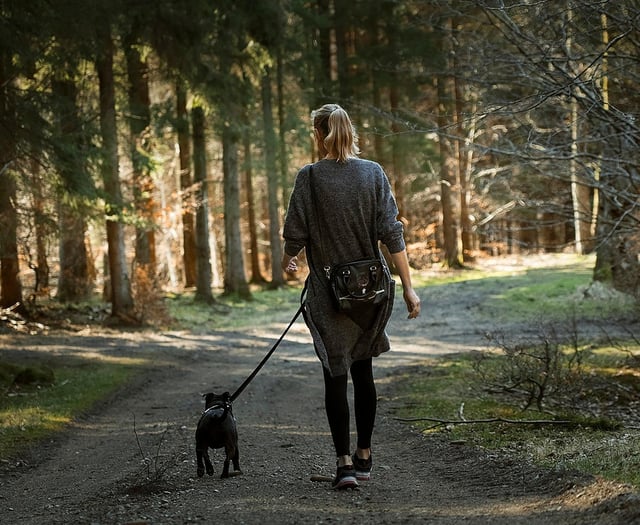 Dementia awareness walk at Beechenhurst, May 17