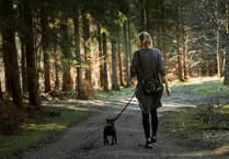 Join the Dementia walk at Beechenhurst