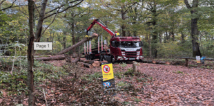 Volunteers needed for Daffodil site restoration