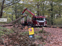 Volunteers needed for Daffodil site restoration