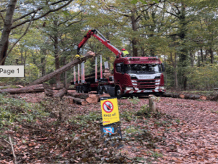 Volunteers needed for Daffodil site restoration