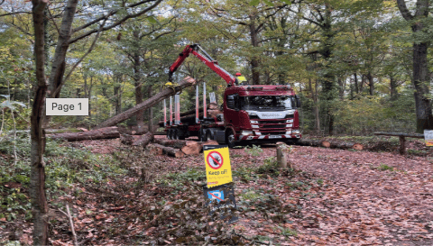 Volunteers needed for Daffodil site restoration