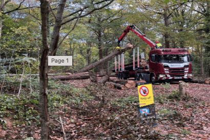 A 150 year old oak from Oxenhall Wood, harvested near the Kempley M50 road bridge, which will form part of future work at Queens’ Wood in Daffodil Country.
