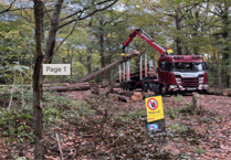 Help restore Daffodil Country after extreme weather