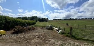 Barn-style stables approved despite erosion fears