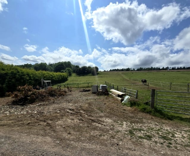 Barn-style stables approved despite erosion fears