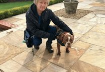 Woman's daring rescue of her dog