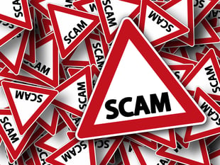 Fraud cases surge online shoppers warned
