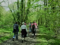 Rambling Club walk in the Forest of Dean