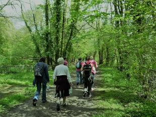 Rambling Club walk in the Forest of Dean