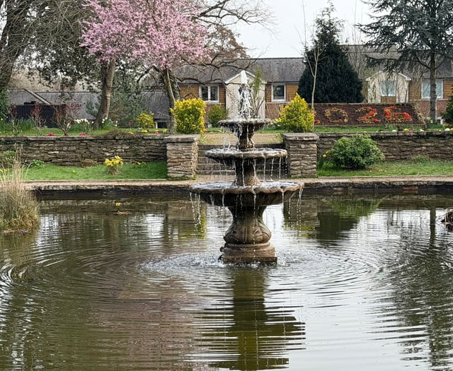 Lydney’s Bathurst Park blooms in Spring