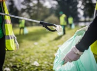Join the Spring Clean in The Forest of Dean