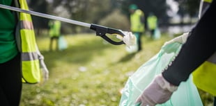 Join the Spring Clean in The Forest of Dean