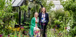 Garden centre enters administration as Blue Diamond takes over