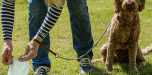 Dog walker fined £80 in Lower Lydbrook