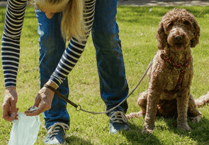 Dog walker fined £80 for pet mess