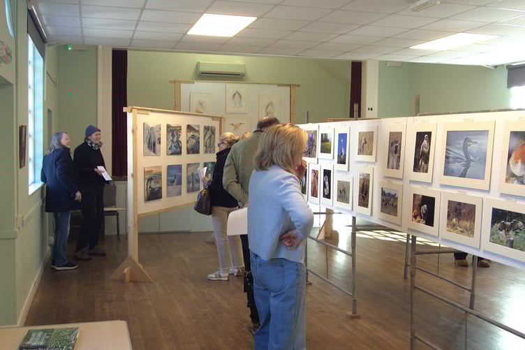 A range of wildlife, landscapes and travel photographs were on display at the Clearwell exhibition, attracting a steady stream of visitors.