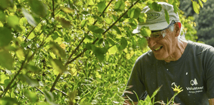 Dean's employment uptick in February